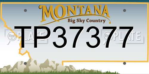 TP37377 Montana License Plate