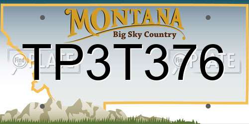 TP3T376 Montana License Plate