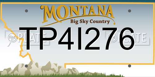 TP4I276 Montana License Plate