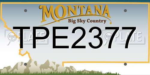 TPE2377 Montana License Plate