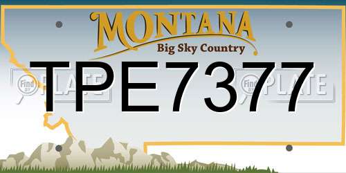 TPE7377 Montana License Plate