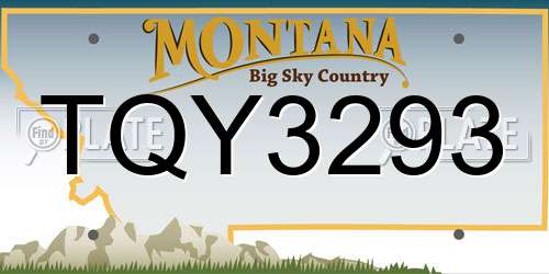 TQY3293 Montana License Plate