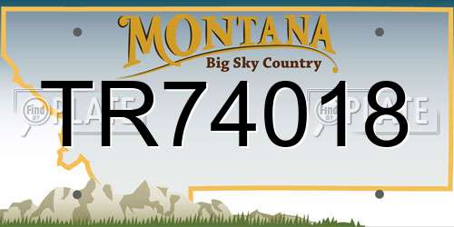 TR74018 Montana License Plate