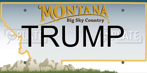 TRUMP Montana License Plate