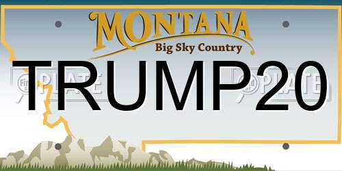 TRUMP20 Montana License Plate