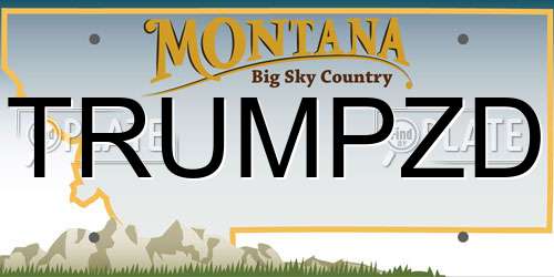 TRUMPZD Montana License Plate