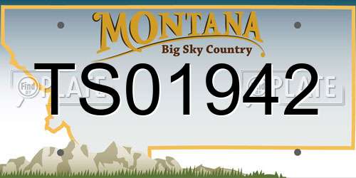 TS01942 Montana License Plate