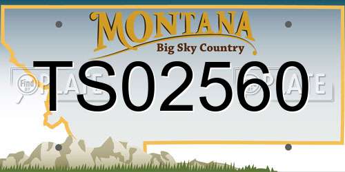 TS02560 Montana License Plate