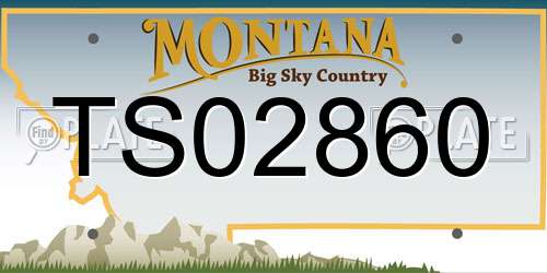 TS02860 Montana License Plate