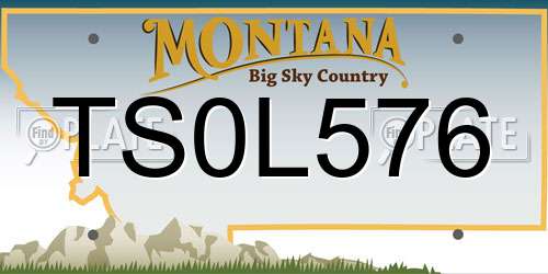 TS0L576 Montana License Plate