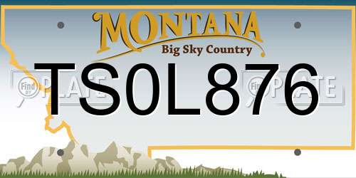 TS0L876 Montana License Plate