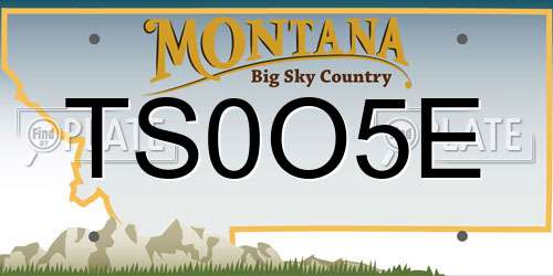 TS0O5E Montana License Plate