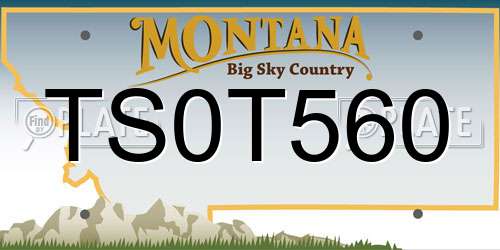 TS0T560 Montana License Plate