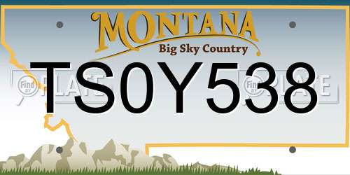 TS0Y538 Montana License Plate
