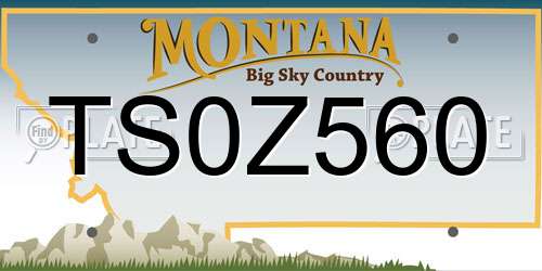 TS0Z560 Montana License Plate