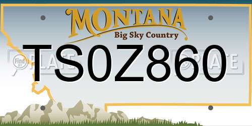 TS0Z860 Montana License Plate