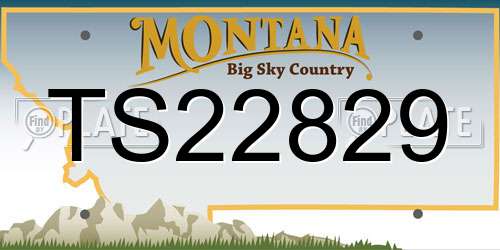 TS22829 Montana License Plate