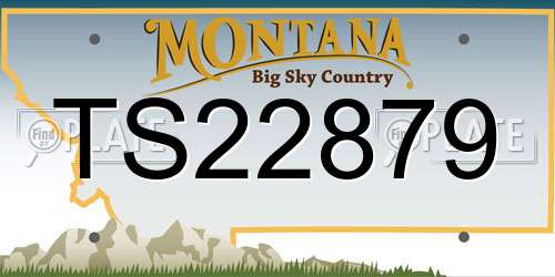 TS22879 Montana License Plate