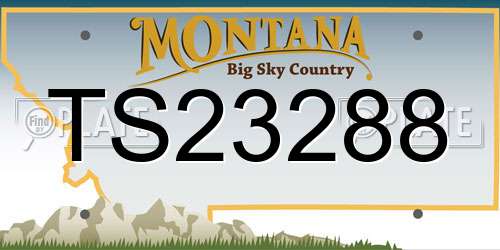 TS23288 Montana License Plate