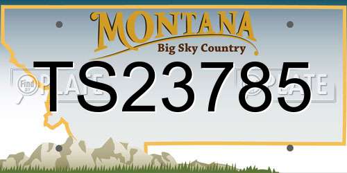 TS23785 Montana License Plate