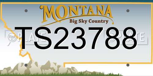 TS23788 Montana License Plate