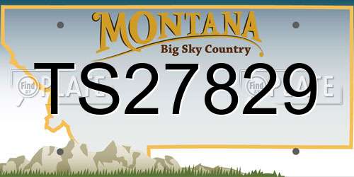 TS27829 Montana License Plate
