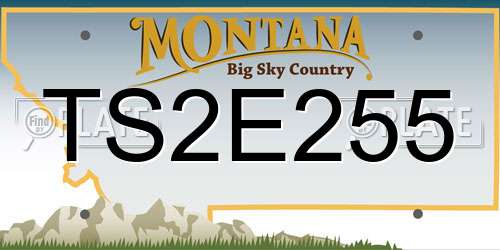TS2E255 Montana License Plate