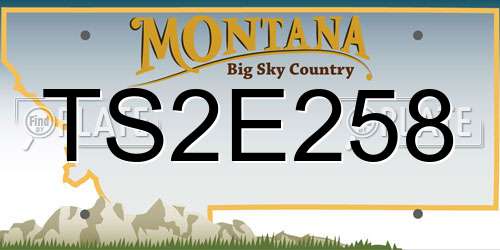 TS2E258 Montana License Plate