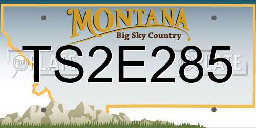 TS2E285 Montana License Plate