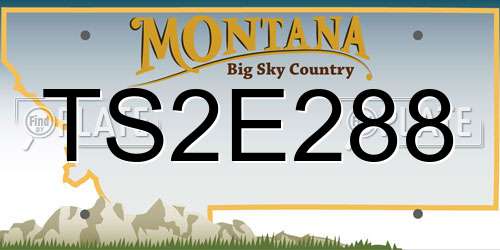 TS2E288 Montana License Plate