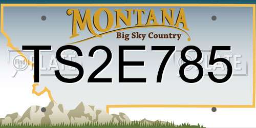 TS2E785 Montana License Plate
