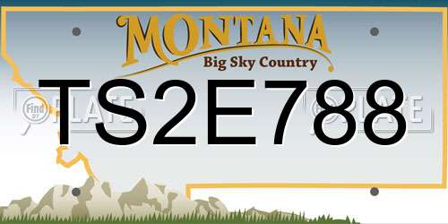 TS2E788 Montana License Plate