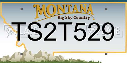 TS2T529 Montana License Plate
