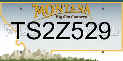 TS2Z529 Montana License Plate