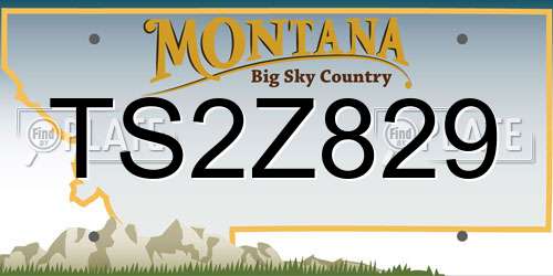 TS2Z829 Montana License Plate