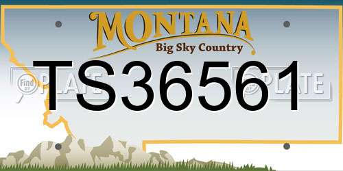 TS36561 Montana License Plate