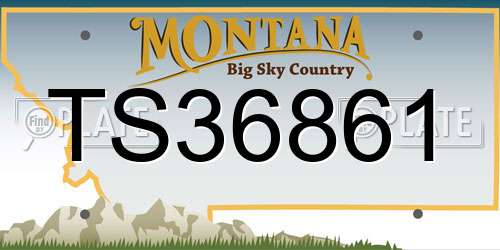 TS36861 Montana License Plate