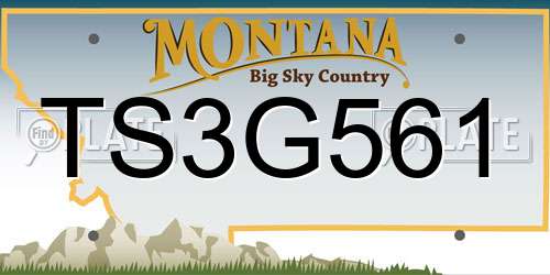 TS3G561 Montana License Plate