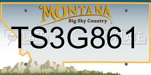 TS3G861 Montana License Plate