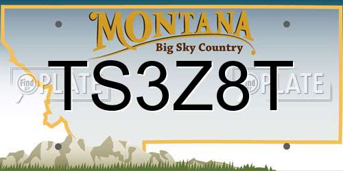 TS3Z8T Montana License Plate