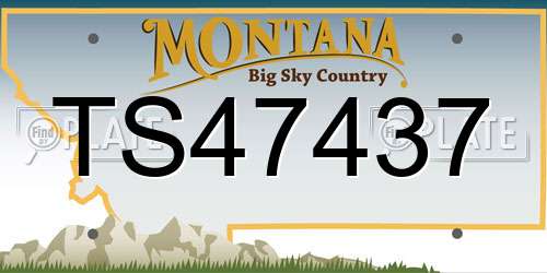 TS47437 Montana License Plate