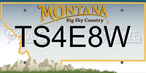 TS4E8W Montana License Plate