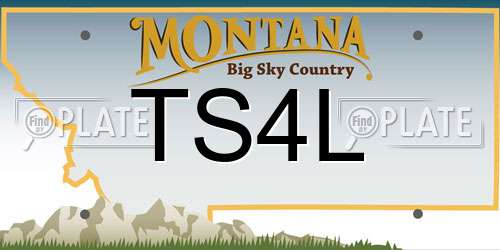 TS4L Montana License Plate