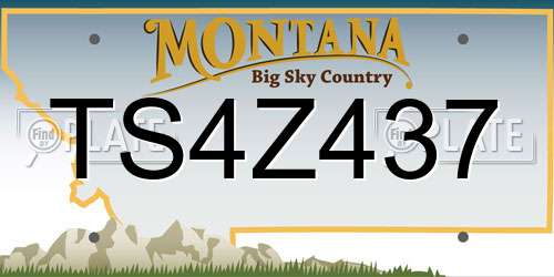 TS4Z437 Montana License Plate