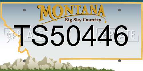TS50446 Montana License Plate