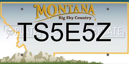 TS5E5Z Montana License Plate