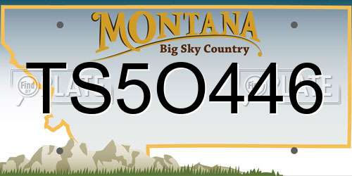 TS5O446 Montana License Plate