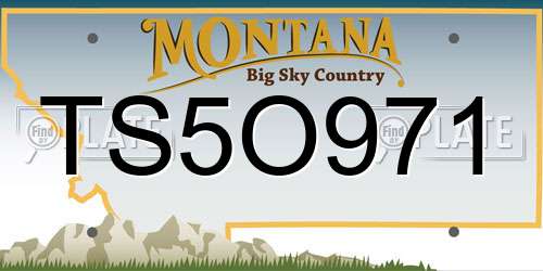 TS5O971 Montana License Plate