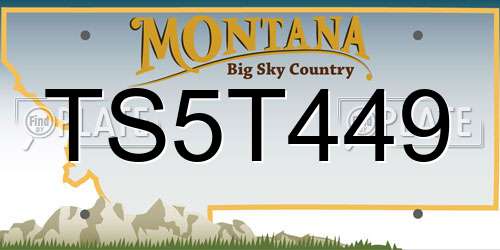 TS5T449 Montana License Plate