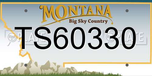 TS60330 Montana License Plate